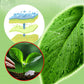 🪴Plant Flower Insect Repellent Tablet（BUY 3 GET 5 FREE）