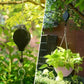 🪴🦜Plant Pulley Set For Garden Baskets Pots, Birds Feeder